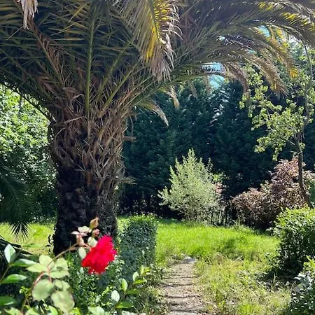 빌라 La Casona De La Carbayeda