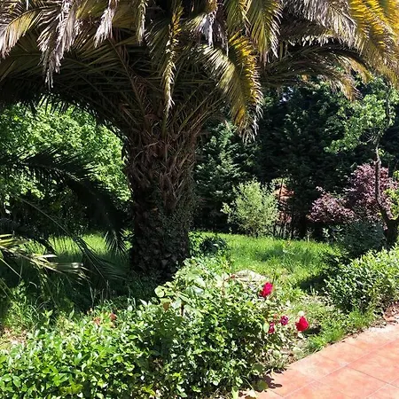 La Casona De La Carbayeda 빌라 오비에도